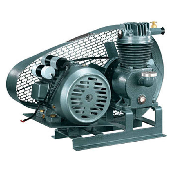 Buy VGuard Belt Driven Compressor Pump 1Ph 2HP VBCDMTW600 Online at