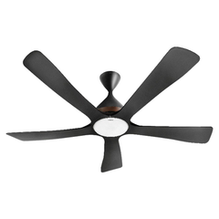 Fans