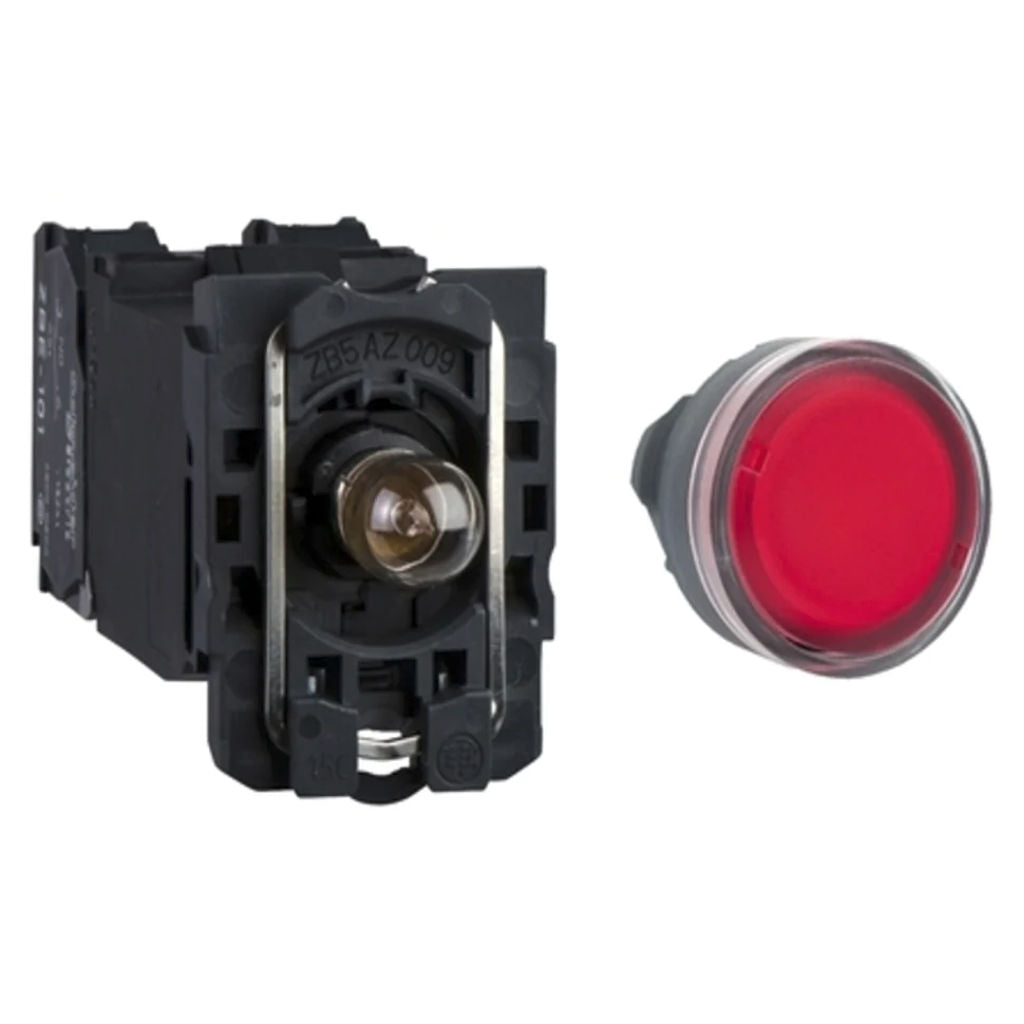 Schneider Harmony XB5 Illuminated Pushbutton Flush Integral LED 110V