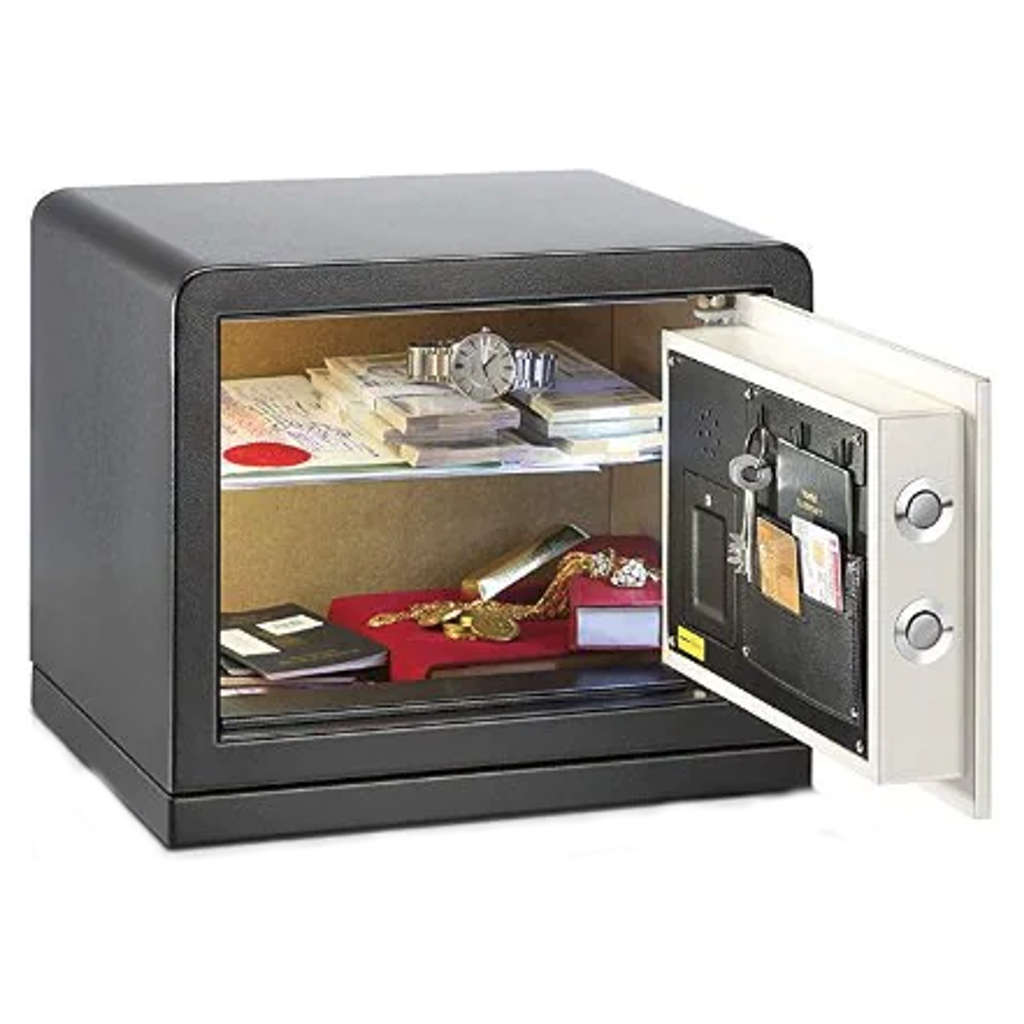 Godrej 100X Advanced Ritz Touch with I Buzz Locker 28L