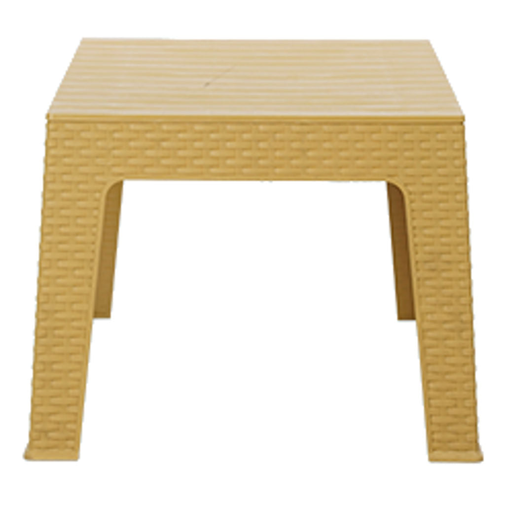 Supreme Denver Multipurpose Plastic Stool Cane