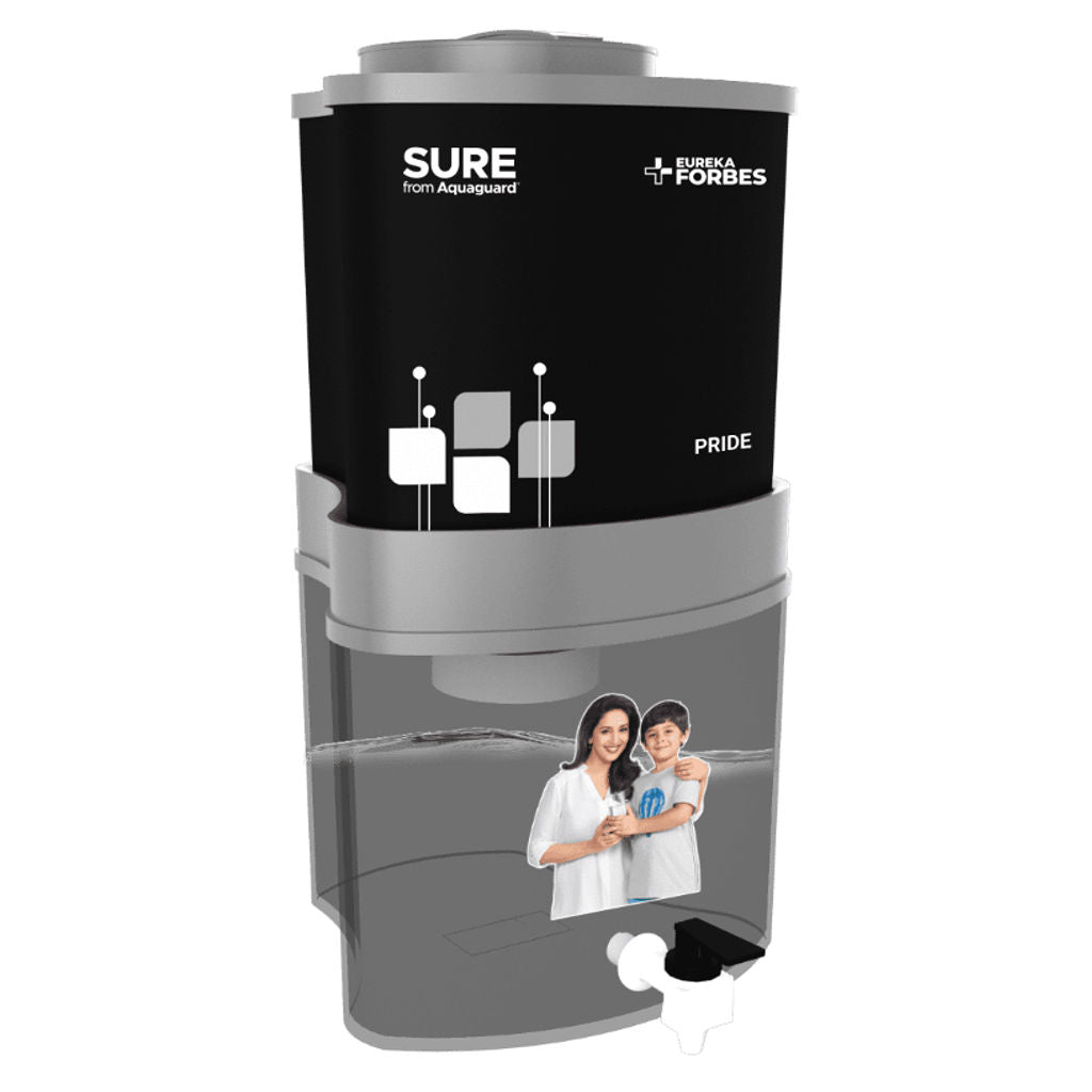 Eureka Forbes Aquaguard Pride Water Purifier