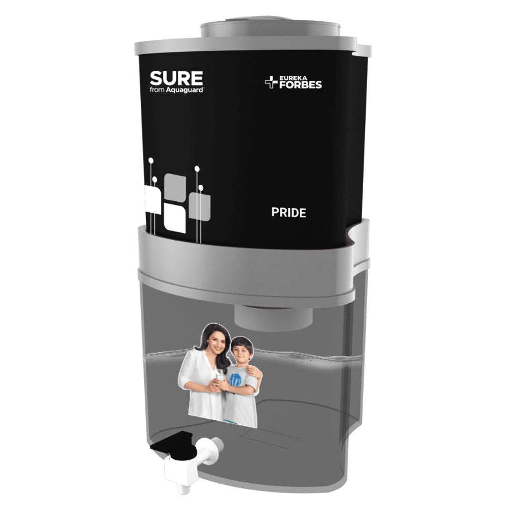 Eureka Forbes Aquaguard Pride Water Purifier