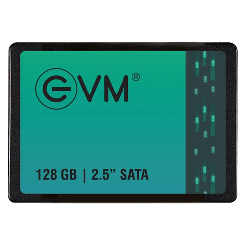 EVM 128 GB SATA SSD 2.5 Inch 