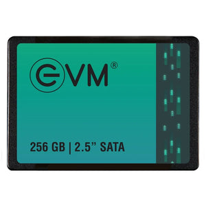 EVM 256 GB SATA SSD 2.5 Inch 