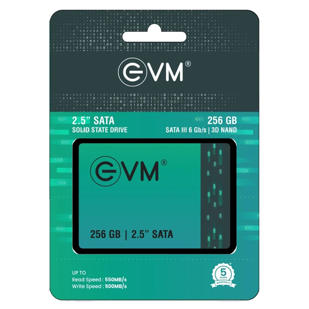 EVM 256 GB SATA SSD 2.5 Inch