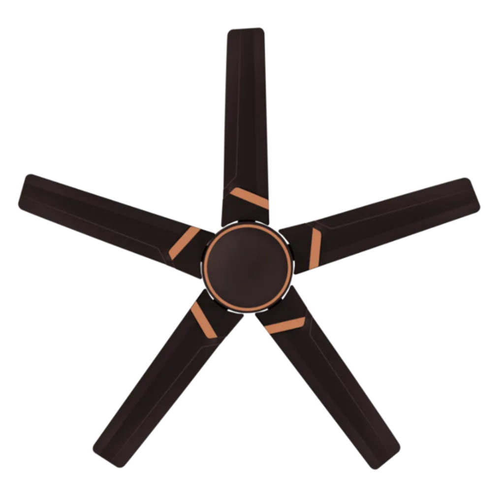 Kuhl Brise Star E5 BLDC Ceiling Fan With Remote 1320 mm Espresso