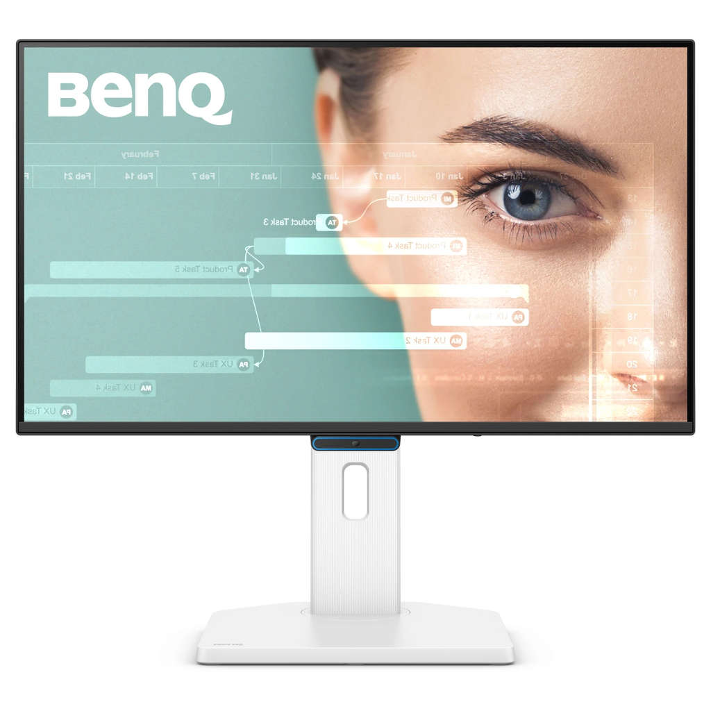 Benq Full HD Monitor 1080P 23.8 Inch GW2490TC 