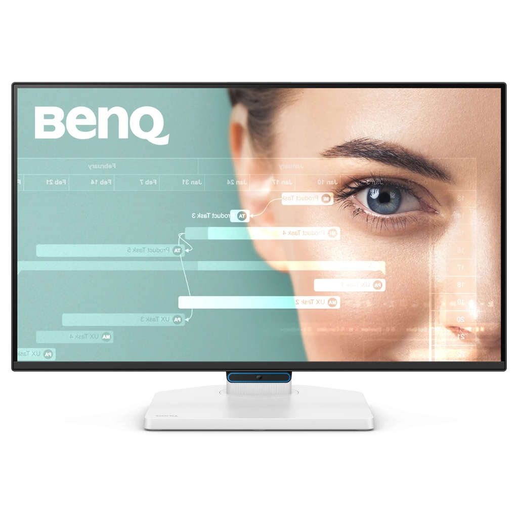 Benq Full HD Monitor 1080P 23.8 Inch GW2490TC