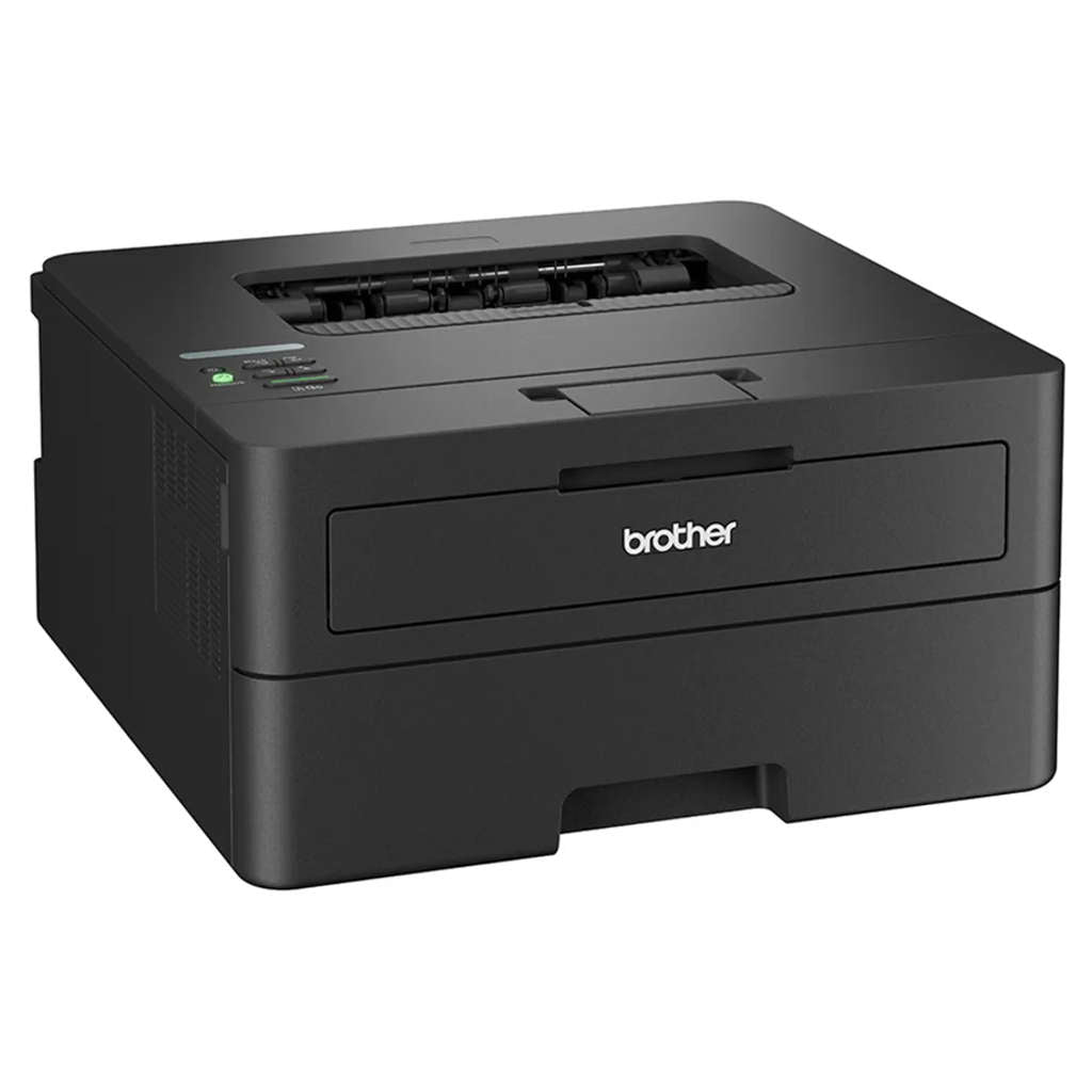 Brother Monochrome Duplex Laser Printer HL-L2460DN