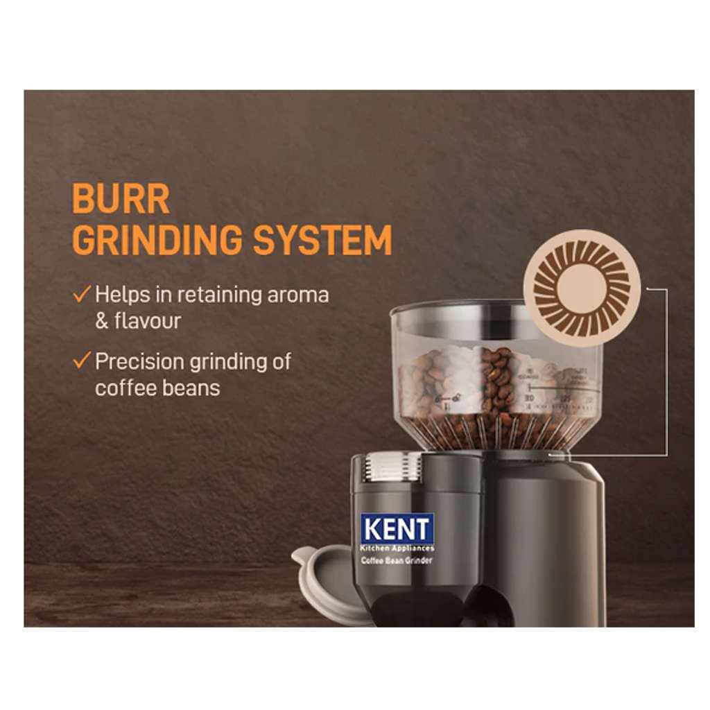 Kent Coffee Bean Grinder 150 W 116164