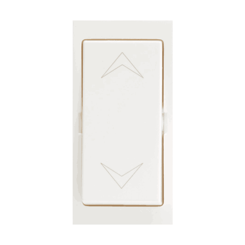 Indoasian-Glint-Switch-6A-2-Way-800001-(Pack-of-10)-1000015148