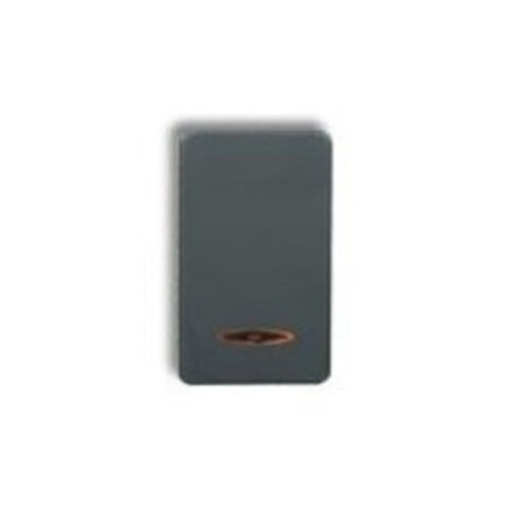 C&S DIVINO One Way Switch 2 Pole 32A CG23120 