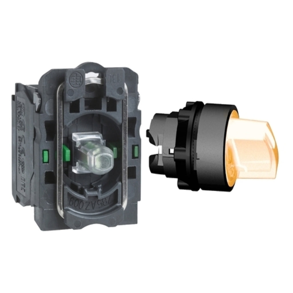Schneider Harmony XB5 Illuminated Selector Switch 24V