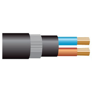 RR KABEL 2Core Copper UG Cable(Armoured) 