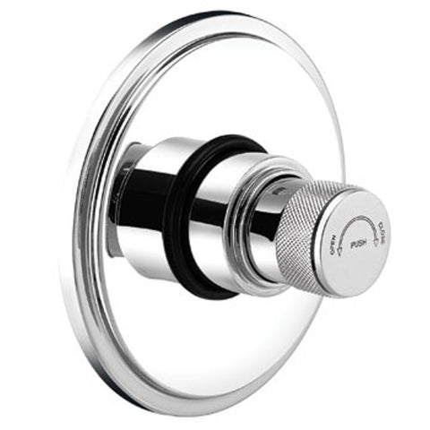 Asian Paints Ess Ess Concealed Flush Valve E-251B 