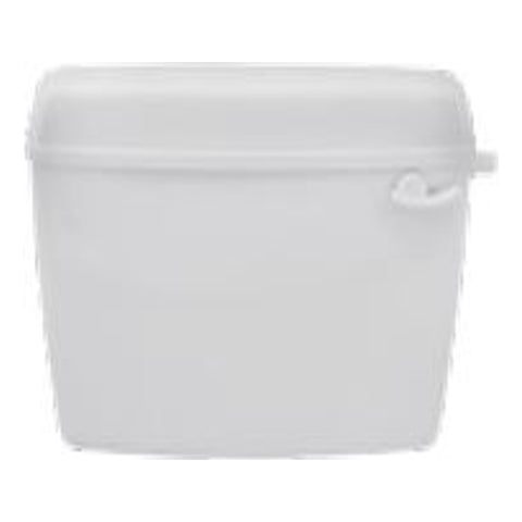 Parryware Standard Single Flush Polymer Cisterns White E8297 
