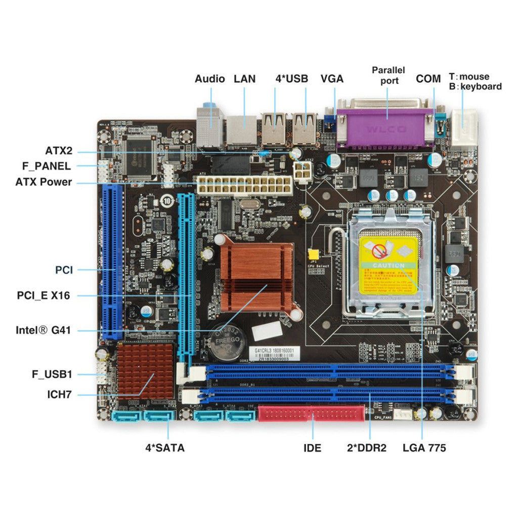 EVM Motherboard EVMG41-DDR2