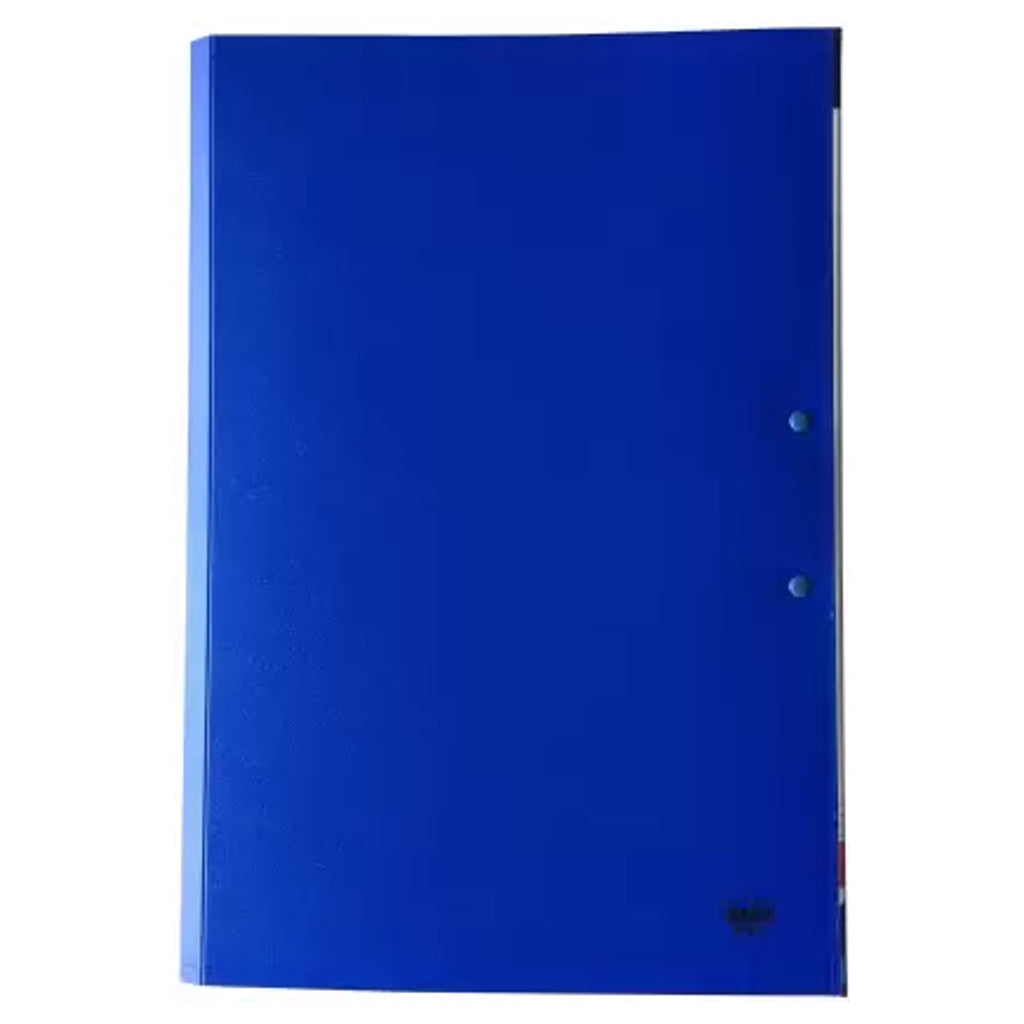 Solo Secure Display And Clip File Blue F/C DFB11