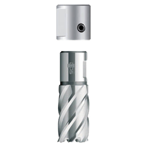 BDS Weldon Shank Converter/Adapter ZAP 200 