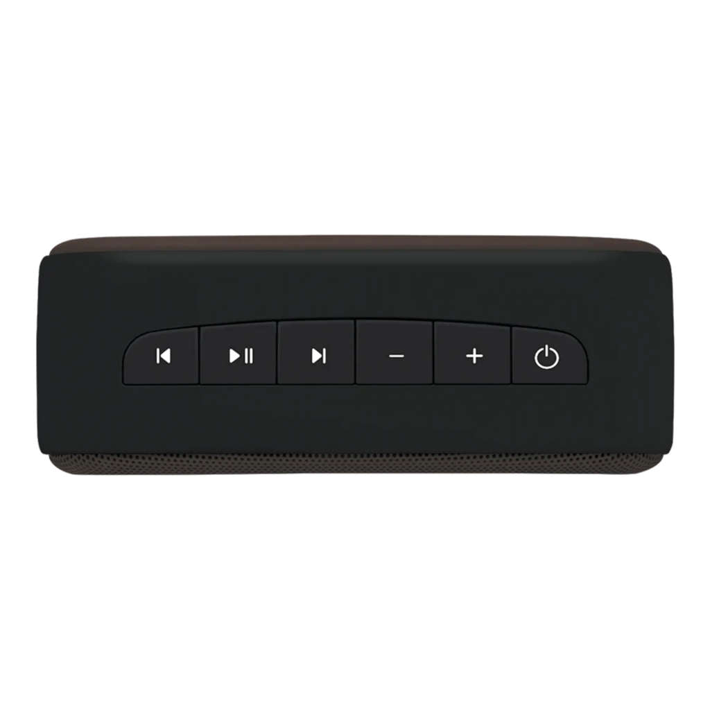 Saregama Carvaan Mini 2.0 Portable Bluetooth Speaker With Hindi Songs Moonlight Black SCM04/MR0004