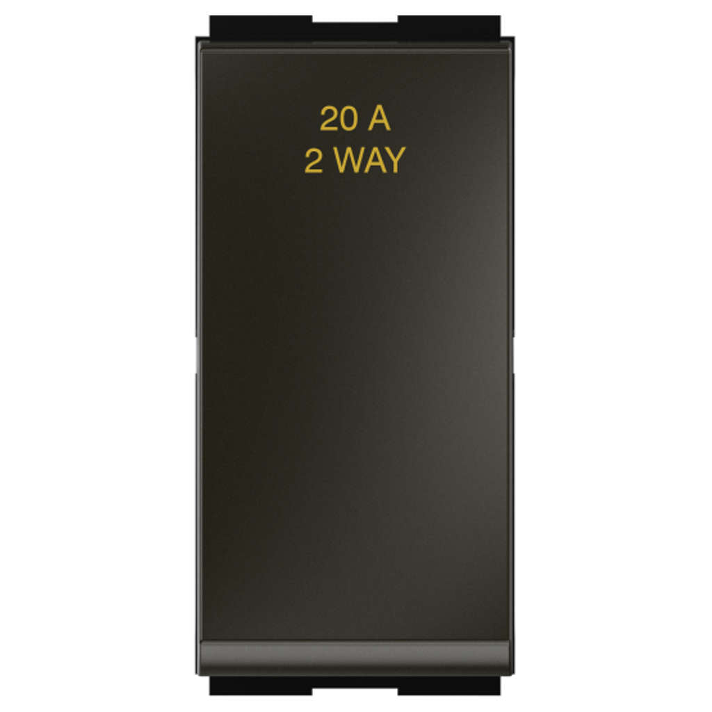 GM Zicono 20A 2 Way Switch AA 1 373