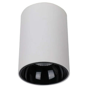 Evenplus LED Regular Cylinder Surface COB Light White EP-AR-RCSC-20W 