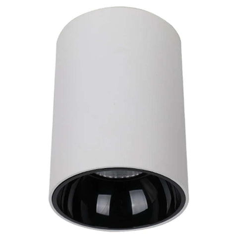 Evenplus LED Regular Cylinder Surface COB Light White EP-AR-RCSC-20W 