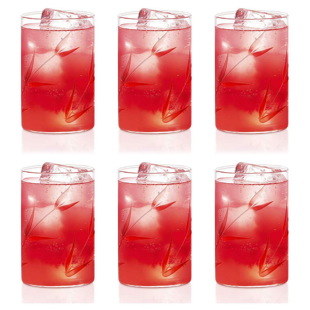 Borosil Bouquet Glass Tumbler Medium Set Of 6 Pcs 295 ml BVS6BOQ295T 
