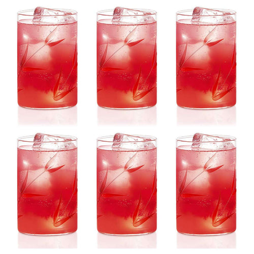 Borosil Bouquet Glass Tumbler Medium Set Of 6 Pcs 295 ml BVS6BOQ295T 