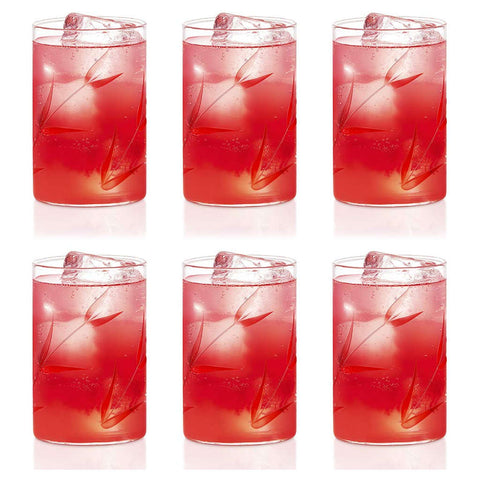 Borosil Bouquet Glass Tumbler Medium Set Of 6 Pcs 295 ml BVS6BOQ295T 