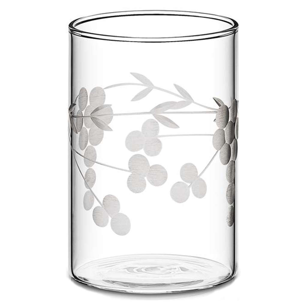 Borosil Berry Glass Tumbler Medium Set Of 6 Pcs 295 ml BVS6BER295T